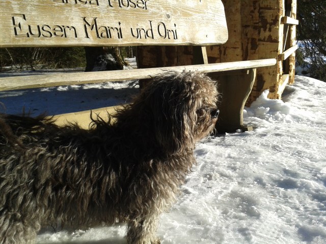 Lauferei Ihm hats auch gefallen