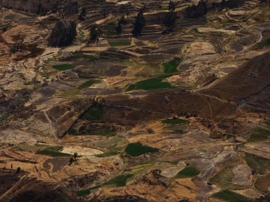 Lauferei Colca Canyon
