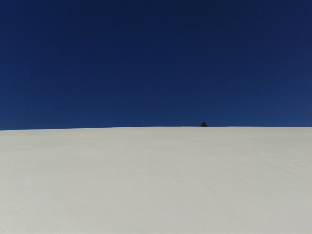 Lauferei - ein Traumtag